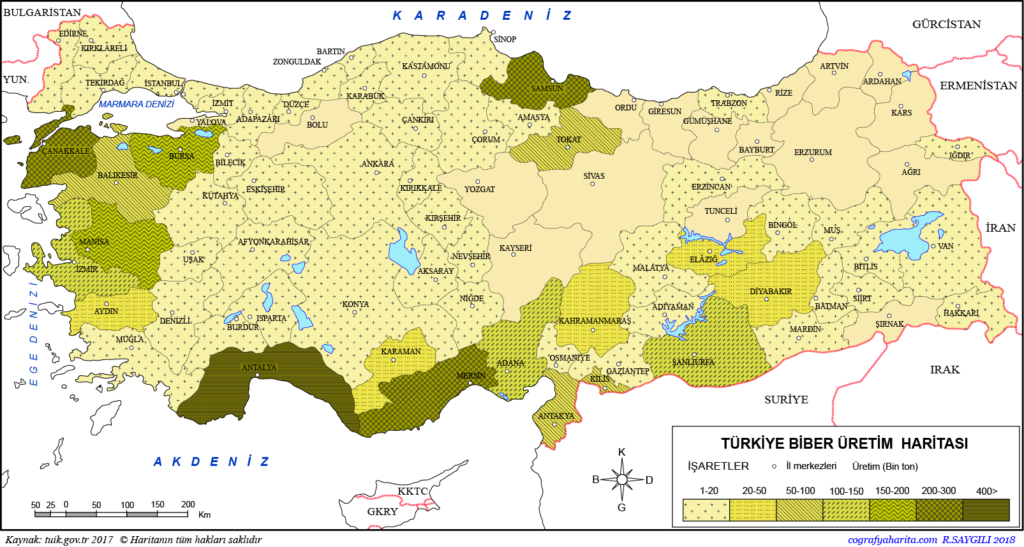 Sıçanlı Biber Nerelerde Yetişir? [2026 Uzman Rehberi]