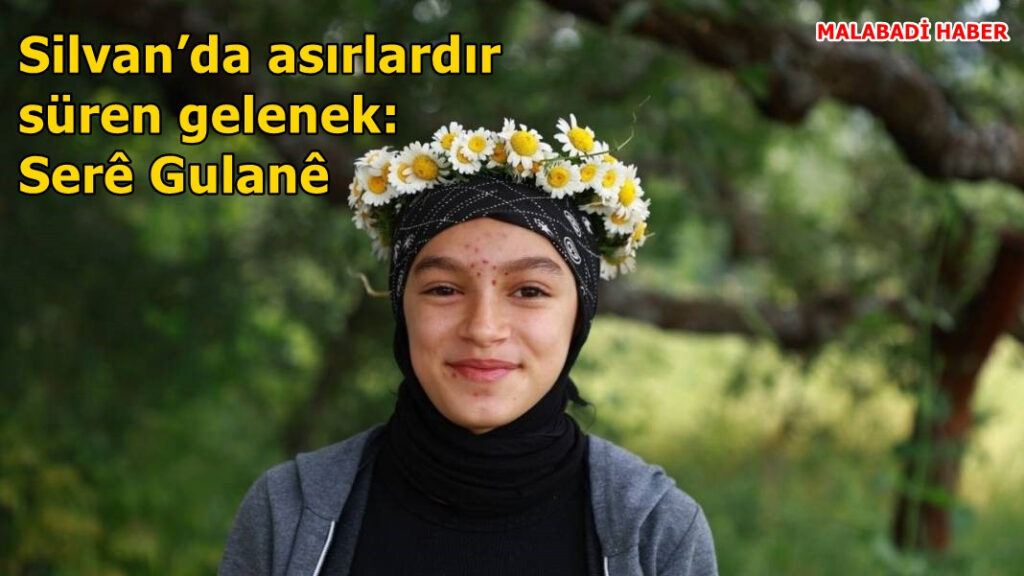 Silvan’da Serê Gulan Kutlamaları Tarihi [2026 Güncel]